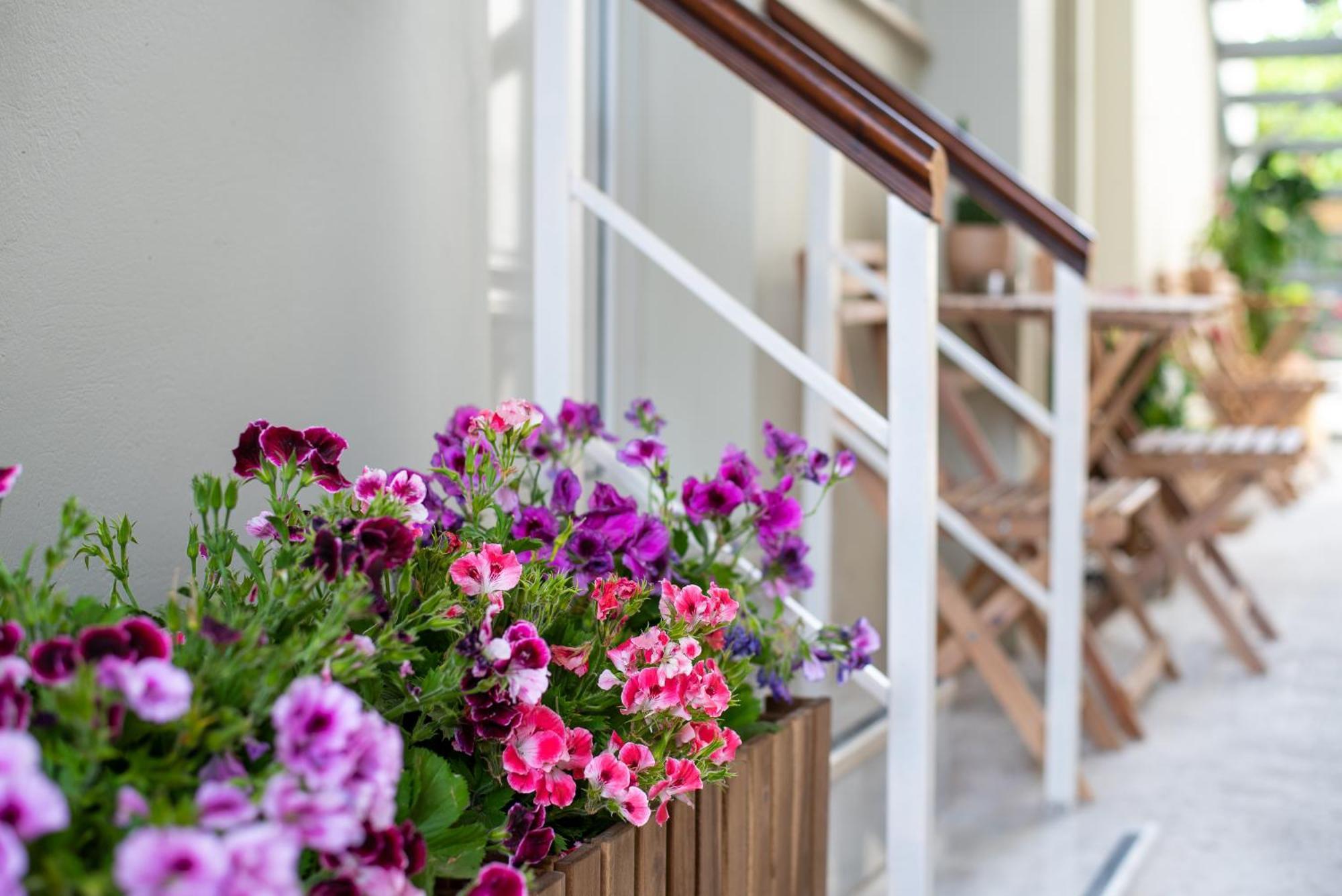 Valhalla - Brand New Airport Apt. Spata  Exterior photo